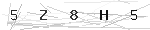 biztonsági kód