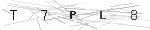 biztonsági kód