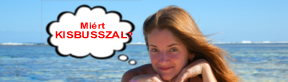 Kisbusz bérlés